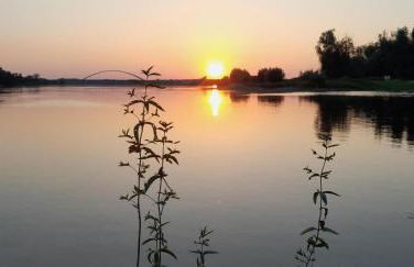 Zur Zitadelle - Foto 19