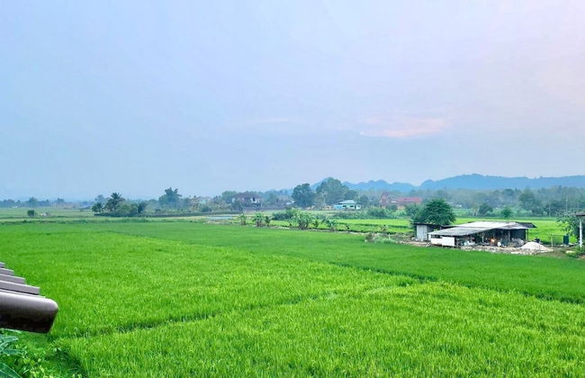 The Green Season Resort Chiang Rai - Foto 36