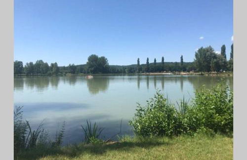 Domaine de la Durantie Duplex Vieux Chateau - Foto 22