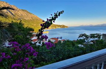 ĆOSIĆ APARTMANI IGRANE - Photo 6