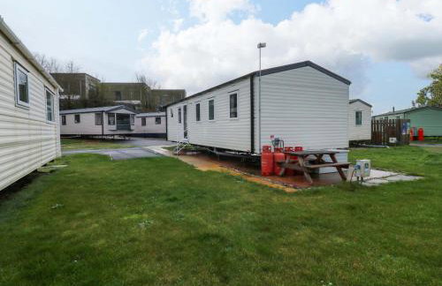 The Foxy Cobbler - Foto 23