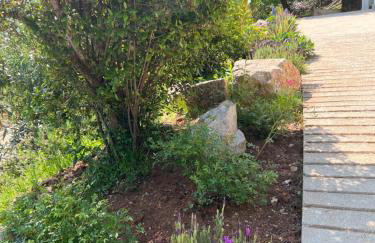 Apartman Villa Katrina - Photo 28