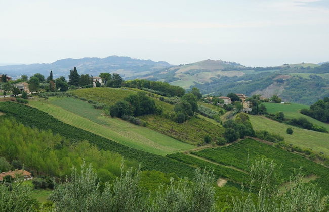 Glamping at an Agriturismo in the Vineyard - Foto 29