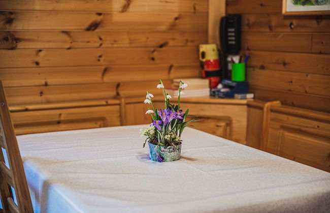 Wooden Cabin Žurej With Hot Tub - Foto 25