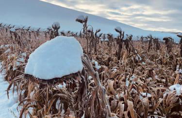 Stewards Bothy - Foto 80