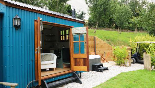 Little Silver Pheasant - Foto 3