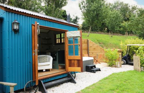 Little Silver Pheasant - Foto 3