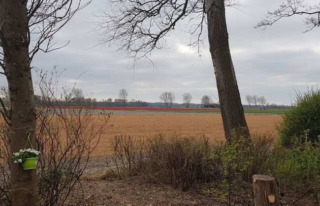 Holiday Home Tuitjenhorn Near Coast - Foto 24