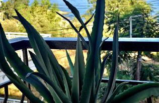 Chistina’s brand new apartment - Foto 10