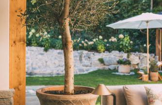 Residence Alpi - Private Spa & Living - Foto 32