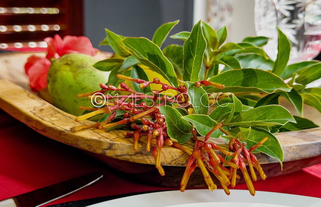 Havre de Paix à la Campagne avec Piscine - Foto 14