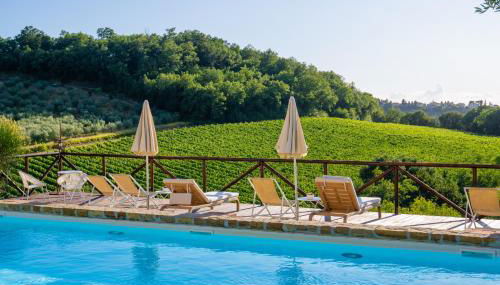 Podere Vergianoni immerso nelChianti con piscina - Foto 5, Garden view