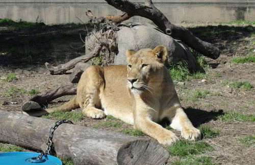 Crosby Backyard Oasis with Weekday Specials! - Foto 20