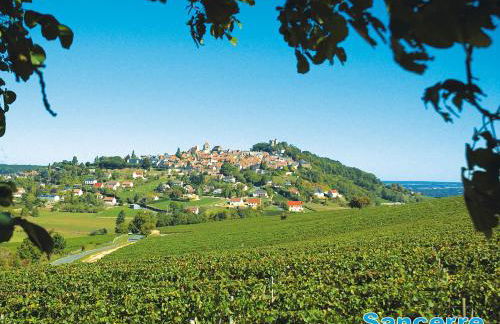 Chalet Loire proche Sancerre - Foto 24