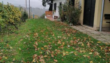 Rural house above the forest - Foto 3