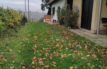 Rural house above the forest - Foto 3