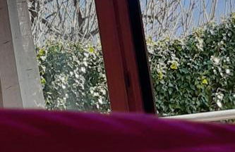 Apartment Casa Padronale nähe Arco by Interhome - Foto 20