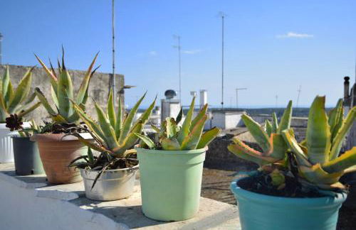 Una Biancasa - Foto 56