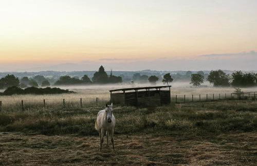 Podere Pievina Delle Corti - Dimora di Campagna - Photo 17