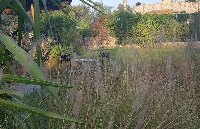 Koheilan Oriental Lodge Farm - Photo 26