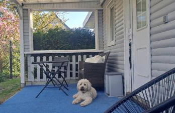 Ferienhaus Sommer - Photo 20