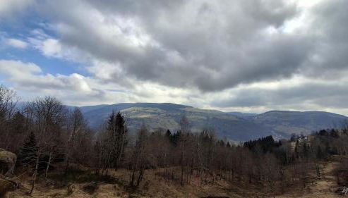 Chez Bernadette - Foto 4