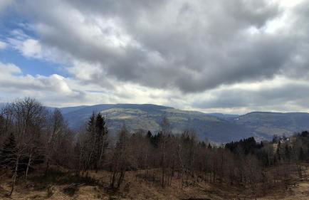 Chez Bernadette - Foto 4