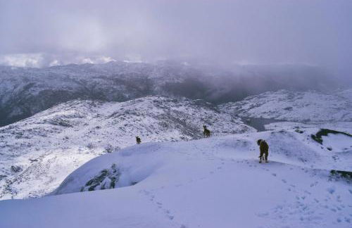 Casa Florestal, na Branda da Bouça dos Homens - Foto 38