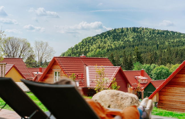 Chalet in Schierke Near Ski Slopes - Foto 29