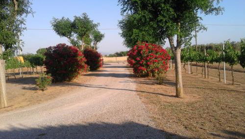 Monolocale con giardino - Foto 4