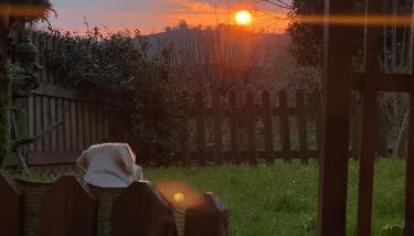 Posada El Pareón - Foto 3