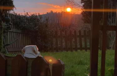 Posada El Pareón - Photo 3