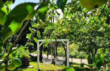 Kolonijna Park - Foto 38