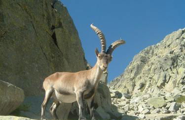 Los Navazuelos - Photo 56