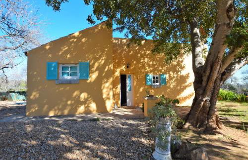 Attractive Portuguese Farm With Modern Decoration - Foto 19