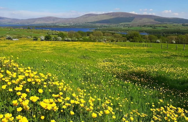 Abhainn Ri Cottages - Foto 24