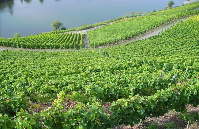 Lovely Modern Apartment, Near the Mosel, Shops and Restaurants - Foto 26