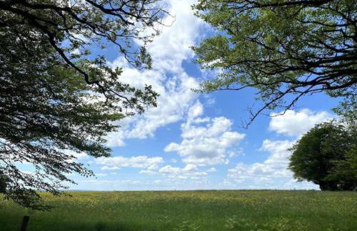 Shepherds Hut Near Exmoor National Park - Foto 72