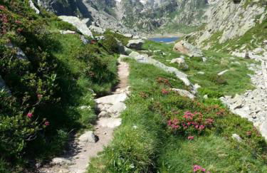 Les FEICHES et MARGUERITES - Foto 29