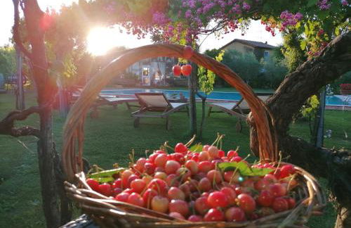 Podere Piandarca - Photo 59