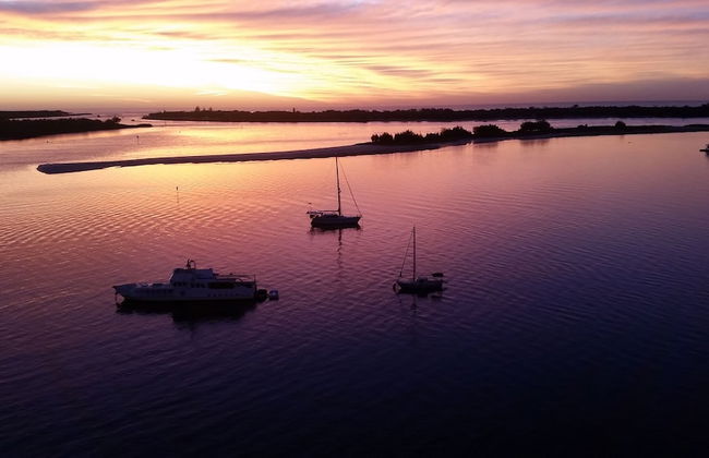 Beaconlea Tower Apartments - Photo 53