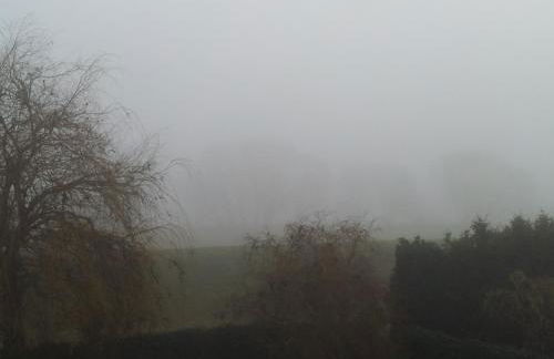 Elbe Ferien - Foto 63