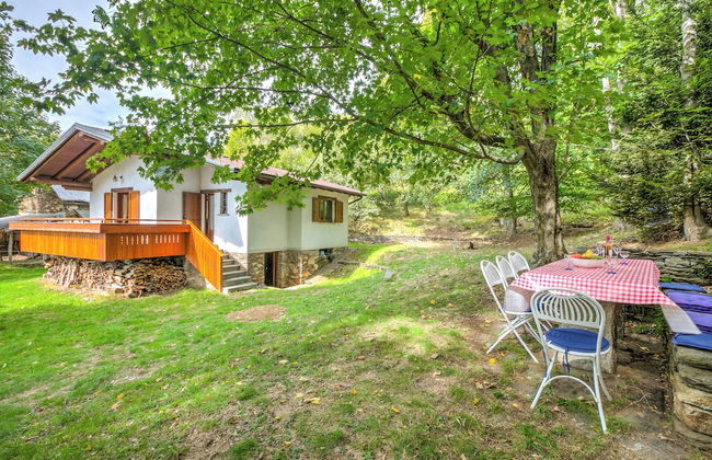 Magic Woodland Escape Lake View - Photo 22