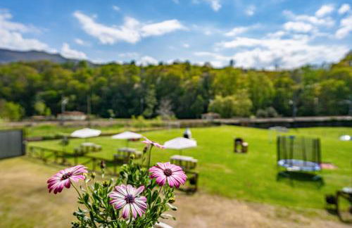 Huerta El Pozu - Foto 78