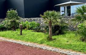 Casas da Prainha B - Photo 31