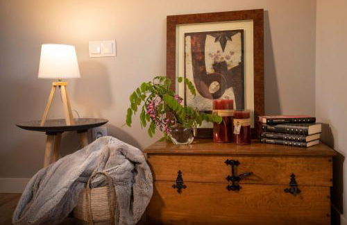 Apartamentos Terraza Ega - Foto 8