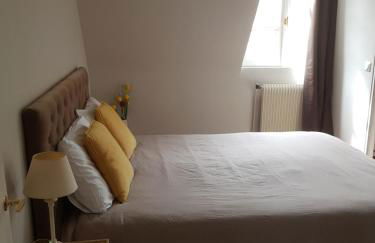 Best of Chartres one bedroom city center and view on the Cathedral - Foto 7