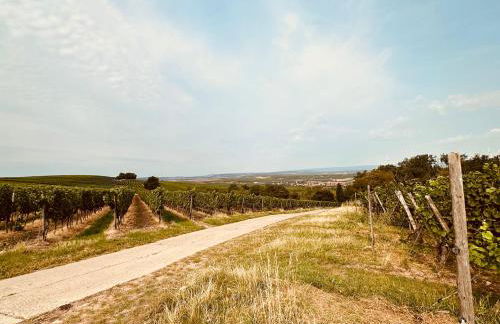 Nähe Mainz - Ferienwohnung - Apartment Breivogel in Wörrstadt - Foto 26