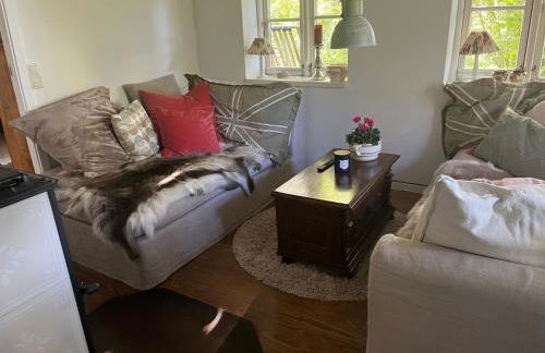 Kruemelkate - Foto 12