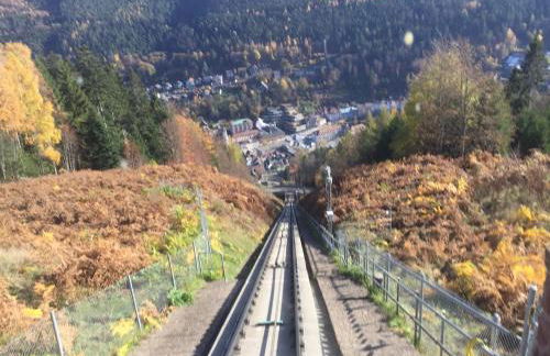 Ferienwohnung Kuckuck auf dem Sommerberg incl Schwarzwald Plus-Karte - 2 Zimmer 50qm - Foto 71